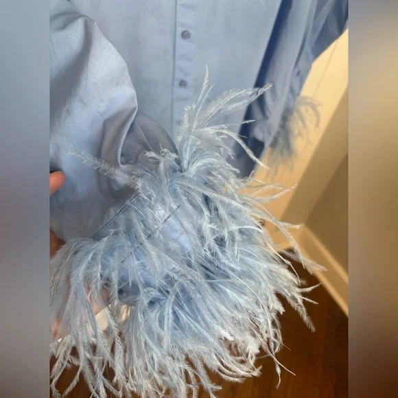 J.Crew Collection Feather Trim Poplin Button-Up Shirt | Size 14 | Blue - Picture 6 of 15